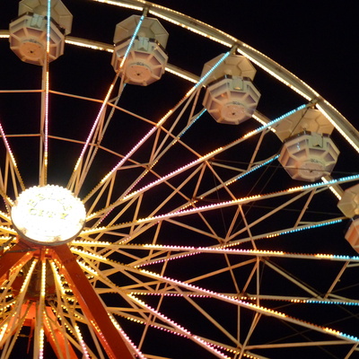 2009 Iowa State Fair