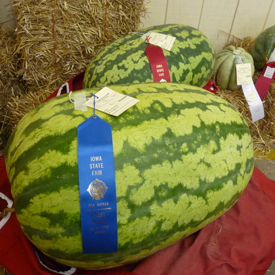 2010 Iowa State Fair